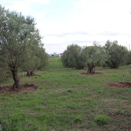 Country Stone Paralia Dionysiou