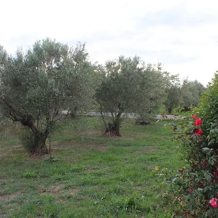 Country Stone Paralia Dionysiou