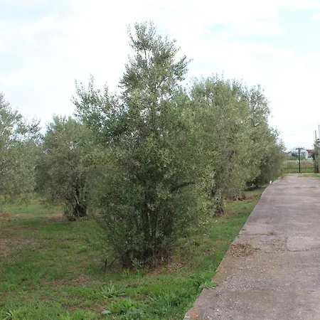 Gasthuis Country Stone Paralia Dionysiou