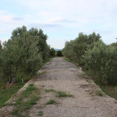 Country Stone Paralia Dionysiou
